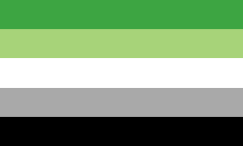 Large Aromantic Pride Flag